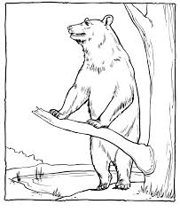 Little bear and a butterfly; Free Printable Bear Coloring Pages For Kids Zoo Animal Coloring Pages Zoo Coloring Pages Bear Coloring Pages