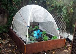 This cute little diy greenhouse looks like the kind of kitchen larder that the. 11 Cool Diy Greenhouses With Plans And Tutorials Shelterness