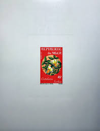 Image result for Crotalaria barkae