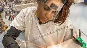 Karla Rojo de la Vega