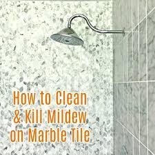 When you have marble tiles in your home, you want to keep them looking their best. How To Clean Marble Shower Tile And Get Rid Of Mildew Abbotts At Home