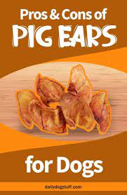 Are pig ears bad for puppies? Are Pig Ears Good For Dogs Pros Cons Daily Dog Stuff Dog Snacks Recipes Pig Ears Dog Nutrition