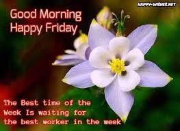 Pin On Good Morning Everyone