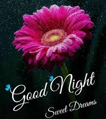 New Good Night Whatsapp Images Free Download For Whatsapp Gn Pics In 2020 Good Night Wallpaper Beautiful Good Night Images Good Night Images Hd