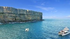 2hr Humpback Whale Cruise Jervis Bay Wild Epic Deals And Last Minute Discounts