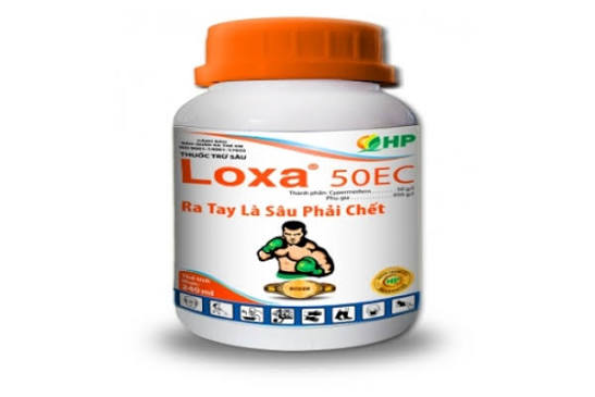 Loxa 50EC