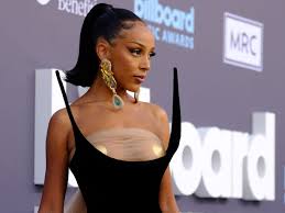 Doja Cat pleads with Elon Musk after being stuck with Christmas name on  Twitter