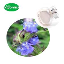 Image result for Cyanotis vaga