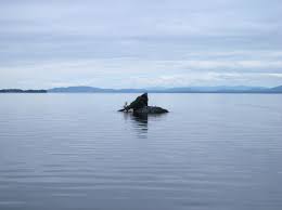 Dec 08, 2009 · there are no official records of wave height on lake champlain. Rock Dunder Wikipedia