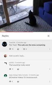 Guy Yells At Some Cats R Im14andthisiswoooosh