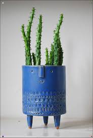 Atelier Stella Tripod Planter Saksi Saksida Cicekler Egzotik Cicekler