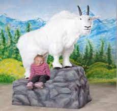 Pin On Giant Stuffed Animals