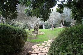 Enter an amount to give. Israel Jerusalem The Tisch Family Zoological Gardens Jerusalem Biblical Zoo In December Mapio Net