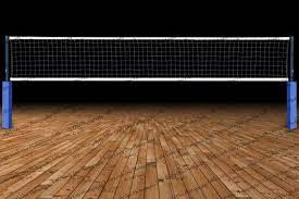 Volleyball Net Volleyball Team Photo Volleyball Background Etsy Volleyball Backgrounds Volleyball Team Photos Volleyball Net