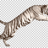 Les presentamos a balram halwal, alias tigre blanco, sirviente, filósofo, emprendedor, asesino. Https Encrypted Tbn0 Gstatic Com Images Q Tbn And9gcrr76zcb6euyjq8cmrl Ymlyiglxae538p Hxdgwug Usqp Cau