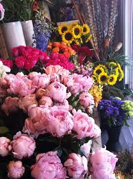 Peonies Most Beautiful Flowers Pretty Flowers Love Flowers