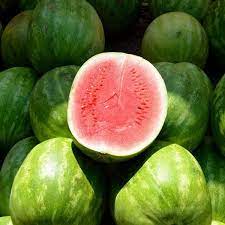 தர்பூசணி வாங்குமுன் கவனிக்க வேண்டிய 6 விஷயங்கள்! | 6 things to notice while  buying watermelon - Vikatan