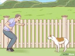 If an area smells familiar, they will feel comfortable returning there over and over again to do their thing. 3 Ways To Keep Stray Dogs Away From Backyard Wikihow