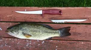 Panaskan 4 camca besar minyak dalam periuk, tumis serai dan bahan kisar halus hingga harum, masukkan lada hitam dan cili kisar. Tips Matikan Bersihkan Ikan Ala Alliya Jmci Okezone Lifestyle