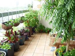 Amazing Balcony Vegetable Garden Ideas Balcony Garden Ideas Vegetables Balcony Herb Gardens Terrace Garden Design