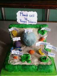 Check spelling or type a new query. Plant Cell Model In Clay Plant Cell Project Plant Cell Model Cell Model