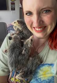 Opossum Lovers