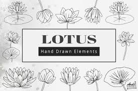 Free lotus flower icons in wide variety of styles like line, solid, flat, colored outline, hand drawn and many more such styles. Lotus Illustration 304542 Illustrations Design Bundles