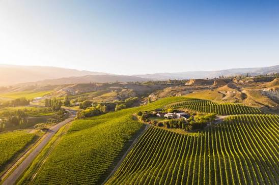 How to Position a Luxury Home for Sale in New Zealand — image 5
