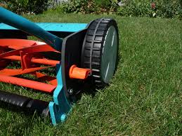 Danach 5 g stickstoff pro qm düngen (falls du vorher keinen starterdünger genommen hast). Rasen Mahen Profi Rasen De