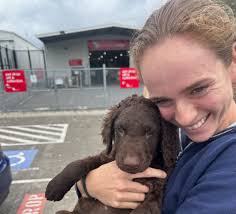 Profile for Dizzyki Kennels