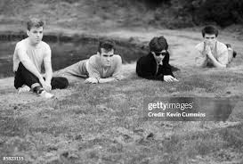 533 Andy Massey Stock Photos, High-Res Pictures, and Images