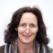 Watch Live TV, Movies, and TV Shows Free Online