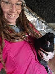 Can you confirm if hens have stopped laying eggs?