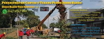 We did not find results for: Perkhidmatan Mencantas Tebang Pokok Daerah Johor Bahru Home Facebook