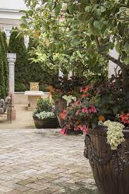 Euro Pied A Terre Living Green Design Green Design Garden Design Green Living