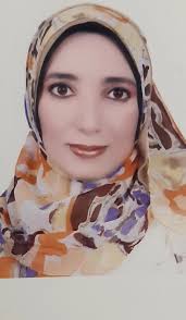 A New Immersion and Invariance Control and Stable Deep Learning Fuzzy  Approach for Power/Voltage Control Problem