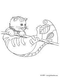 coloriage d un petit chat accroche a une branche qui joue avec des feuilles dessin colorier tres mignon animaux dragon feu