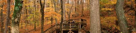 Find public amenities in the caver's camp store and post office. Mammoth Cave National Park Wikitravel