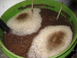 Check spelling or type a new query. How To Make Worm Tea Anphu Earthworm Co Ltd Solution For Organic Agriculture