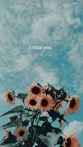 Imy Sky Sunflower Wallpaper Iphone Wallpaper Vintage Hipster Scenery Wallpaper