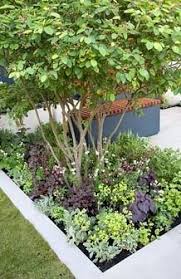 Check out these simple front yard landscaping ideas that you could diy on the weekend. Small Tree In Bed With Mixed Under Planting Front Yard Front Yard Garden Front Yard Front Yard Landscaping