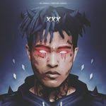 Marcus Stallard's Instagram, Twitter & Facebook