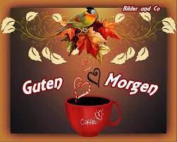 Guten morgen bilder kostenlos für whatsapp 2019 v1.1 mod (свободная покупка ). á Guten Morgen Bilder Guten Morgen Gb Pics Gbpicsonline