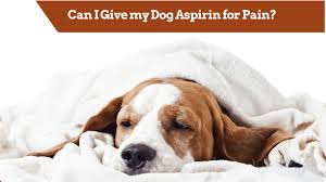 How much aspirin can i give my dog? Is Asprin Safe For Dogs