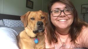 Lost dog found near Keebler and Galli lane in Collinsville