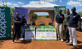 Image result for Cuscuta kilimanjari