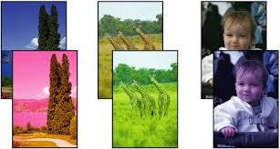 The elegant pixma mg2500 has a compact body, so it fits almost anywhere in your home. Canon Pixma æ‰‹å†Š Mg2500 Series ç„¡åˆ—å°çµæžœ åˆ—å°æ¨¡ç³Šä¸æ¸… é¡è‰²éŒ¯èª¤ ç™½è‰²æ¢ç´‹