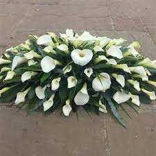 We did not find results for: All Calla Lily Casket Spray Funeral Flowers March