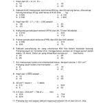 Pin On Math Number Sense