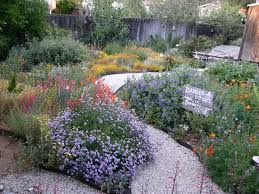 Theodore Payne Foundation For Wildflower And Native Plants California Photo Via Cali California Native Plants California Native Garden Native Plant Landscape